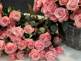 Roses only - Black Orchid Flowers