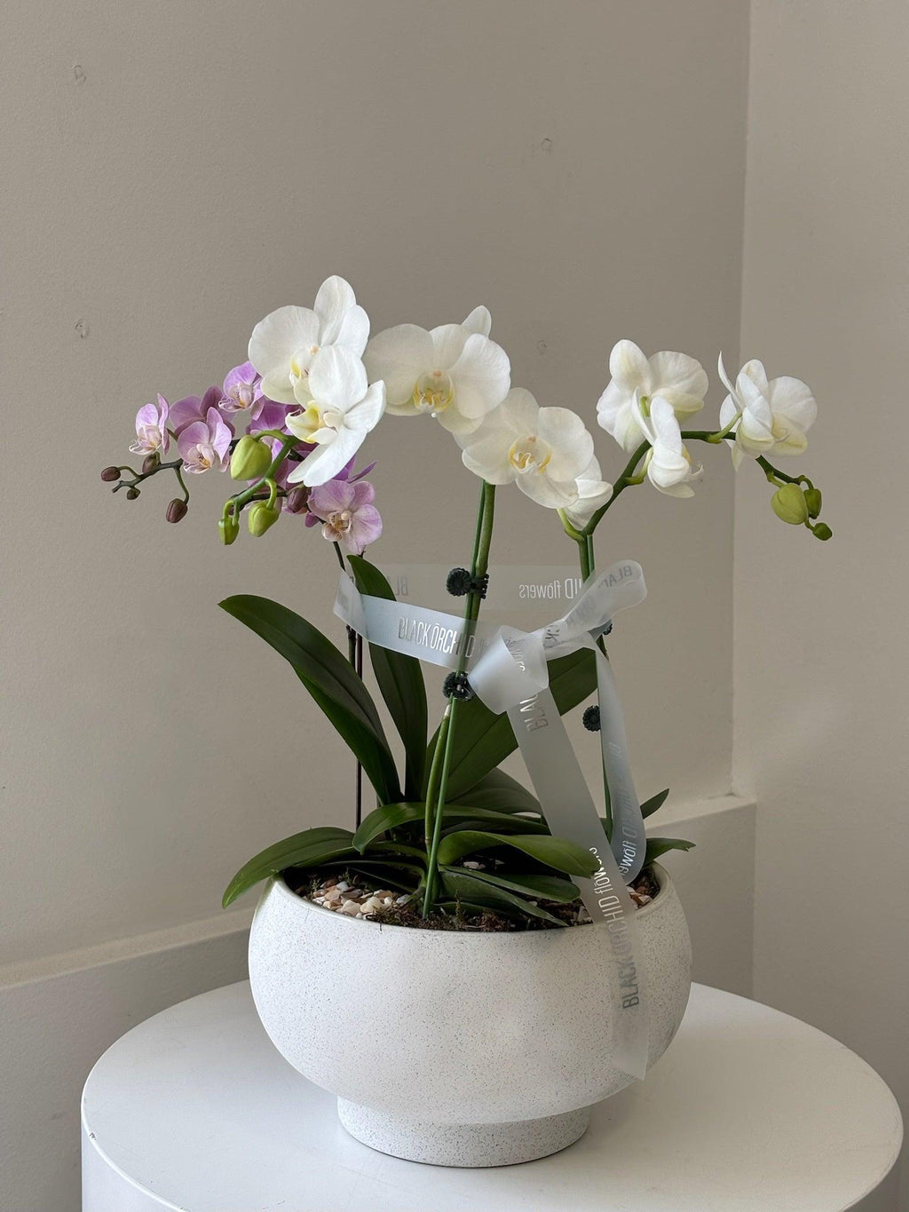 Mini Vase Soliflore En Porcelaine - Forme Oie, Décor Orient Orchid (Occasion)