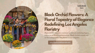 Black Orchid Flowers: A Floral Tapestry of Elegance Redefining Los Angeles Floristry - Black Orchid Flowers