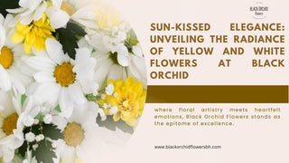 Sun-Kissed Elegance: Unveiling the Radiance of Yellow and White Flowers at Black Orchid - Black Orchid Flowers