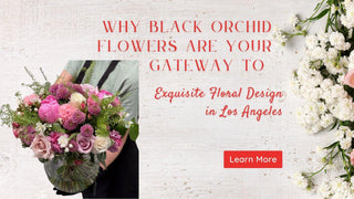 Unveiling Luxury: Why Black Orchid Flowers are Your Gateway to Exquisite Floral Design in Los Angeles - Black Orchid Flowers
