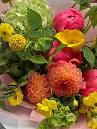 Designer's choice in bright and bold shades