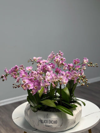 Nine mini orchids purple in ceramic vase