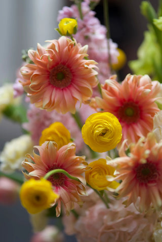 For my dearest mom