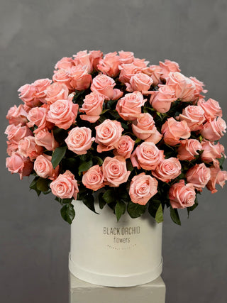 Luxury box of 100 premium pink roses