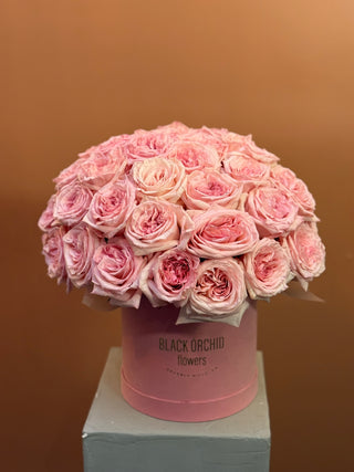 Box of pink garden roses