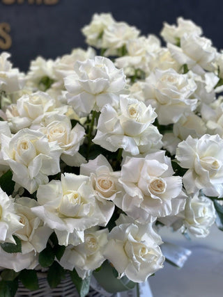 Basket of 200 white garden roses - Black Orchid Flowers