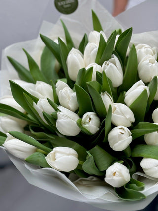 Bouquet of white tulips - Black Orchid Flowers