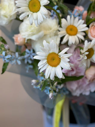 Daisy Delight - Black Orchid Flowers