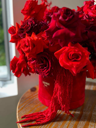 Eternal Love In A Red Velvet Box - Black Orchid Flowers