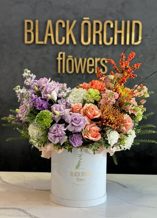 thankful-elegance-black-orchid-flowers-1 - Black Orchid Flowers