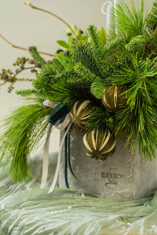 christmas-arrangement-in-square-vase-natural-black-orchid-flowers-2 - Black Orchid Flowers