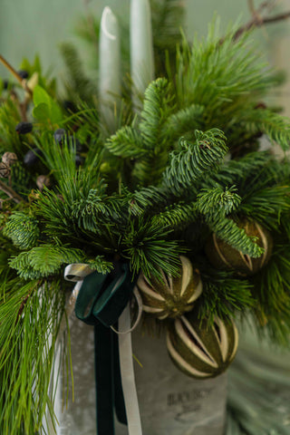 christmas-arrangement-in-square-vase-natural-black-orchid-flowers-3 - Black Orchid Flowers