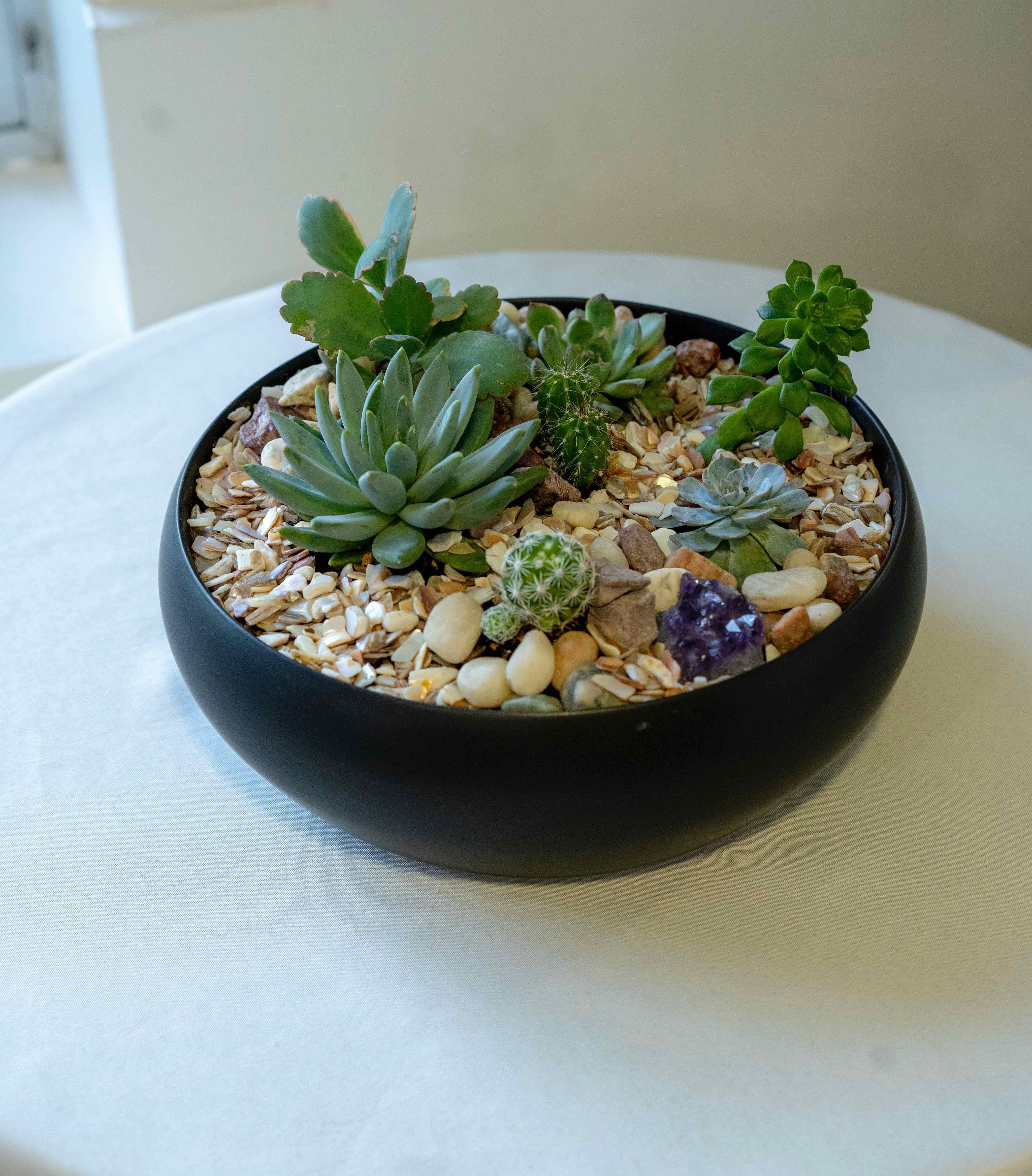 succulents in black vase Succulents and cactus in a black round vase